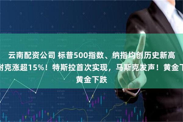 云南配资公司 标普500指数、纳指均创历史新高，耐克涨超15%！特斯拉首次实现，马斯克发声！黄金下跌